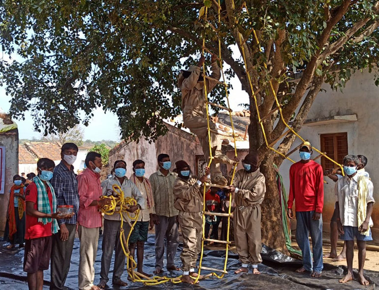 Villagers preparing to harvest honey beneath a large tree
