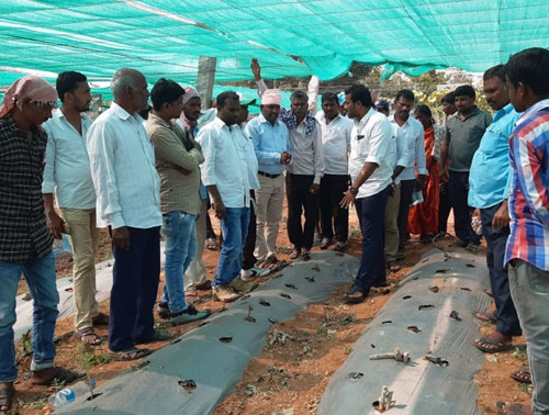 Farmers and programme team visiting an agricultural field